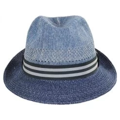 Bailey Berle Toyo Straw Blend Fedora Hat