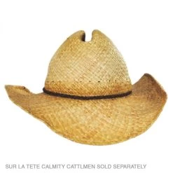 Peacock Beaded Hat Band