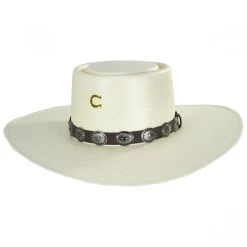 CHARLIE 1 HORSE Sierra Desert Shantung Straw Planter Hat