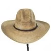 Pecos Palm Straw Gus Western Hat -ChicHeadwear Haven 392819