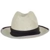 Bailey Hesmond Sisal Litestraw Fedora Hat - Natural/Plum