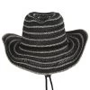 Samantha Braided Toyo Straw Western Hat