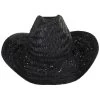 Houston Rush Straw Cowboy Hat - Black