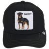 Goorin Bros Kids Naughty Pup Mesh Trucker Snapback Baseball Cap 1 Goorin Bros Kids Naughty Pup Mesh Trucker Snapback Baseball Cap -ChicHeadwear Haven 448670