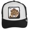 Goorin Bros Kids Little Roar Kids Trucker Snapback Baseball Cap -ChicHeadwear Haven 448706