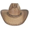 Bent Rail Trail Palm Straw Gus Western Hat