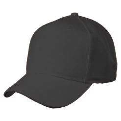 Otto Pro Wool Snapback Baseball Cap