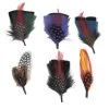 Fashion Side Feather 6-Pack -ChicHeadwear Haven size assorted 1