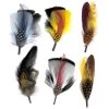 Dapper Side Feather 6-Pack -ChicHeadwear Haven size assorted 3