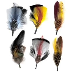 Dapper Side Feather 6-Pack
